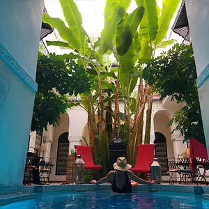 Aloes & (adults Only) Marrakesch